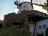 Efeu an der Pirsch-Mühle